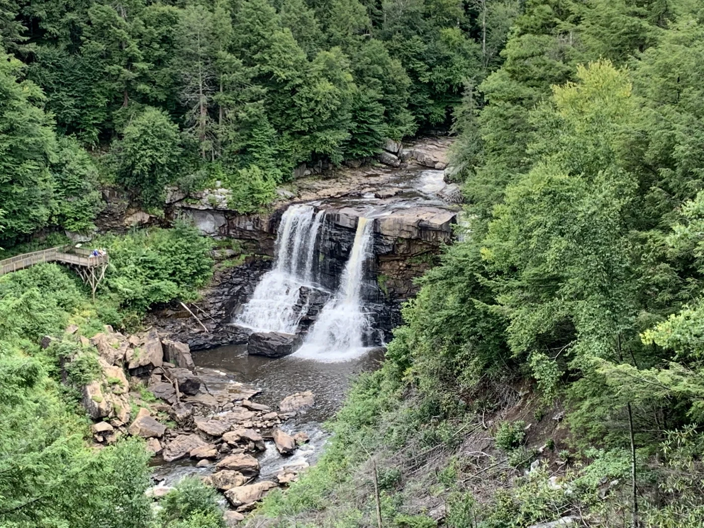 A quiet stream winding through a forest — following the flow from source to end